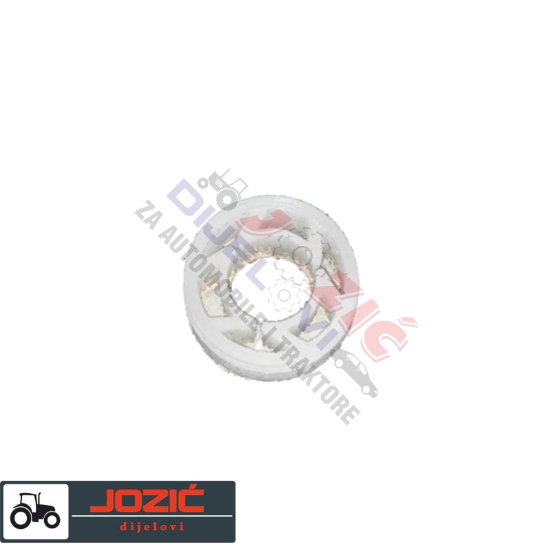 Daisy on the Ohoopee